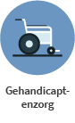 gehandicaptenzorg.png